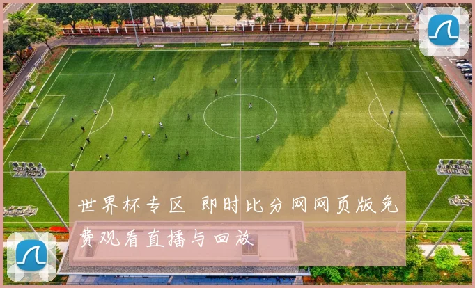 世界杯专区 即时比分网网页版免费观看直播与回放