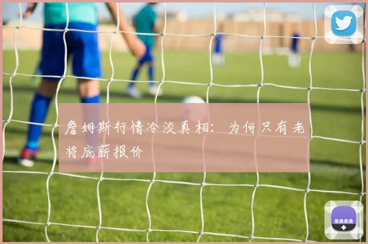 詹姆斯行情冷淡真相：为何只有老将底薪报价
